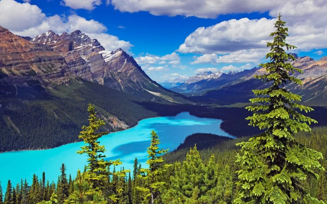 1658822196122614.png image.png