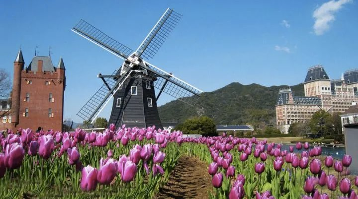 1662345420247863.png image.png